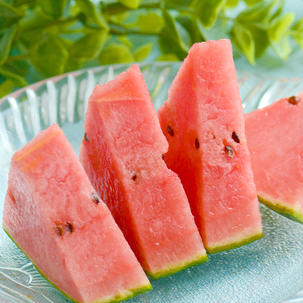 Chiba and Kumamoto Prefecture watermelons (large) approx. 10kg (2 count)