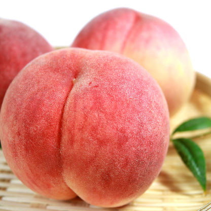 Yamanashi Prefecture Pink Peaches, Large, Approx. 5kg (13-16 pcs)