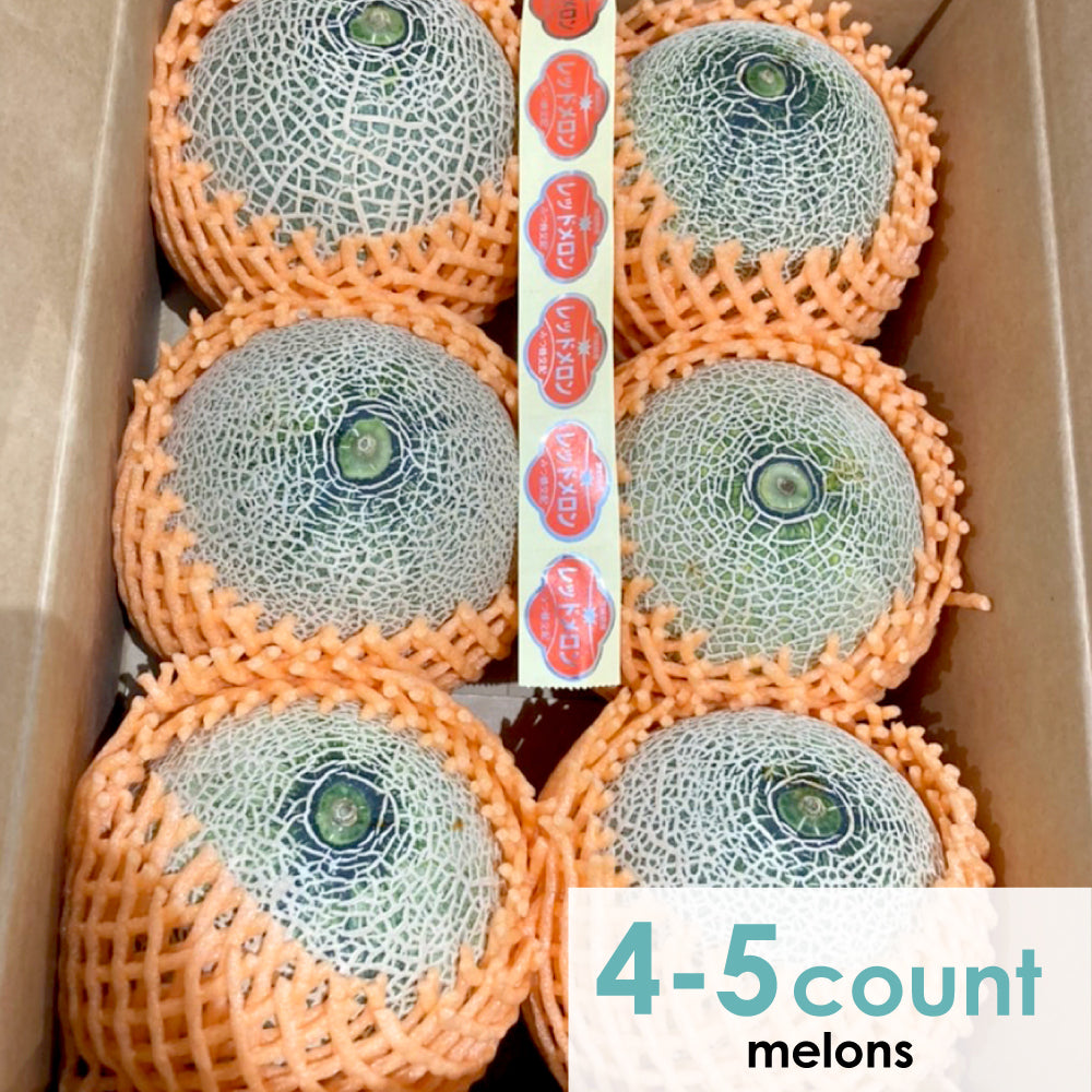 Ibaraki Prefecture Red-fleshed Melon Large 5kg (4-5count)