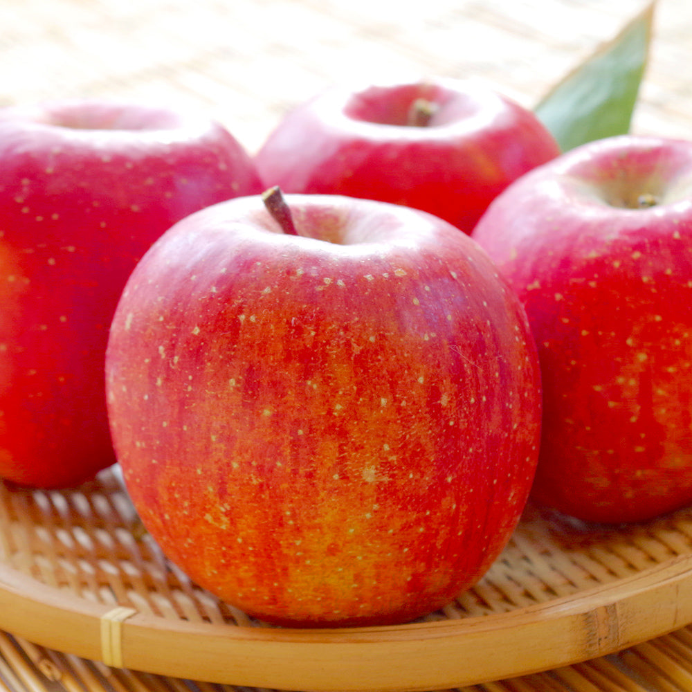 Aomori Prefecture or Nagano Prefecture San Fujitsugaru Apples, Large, approx. 10kg (36 pcs)