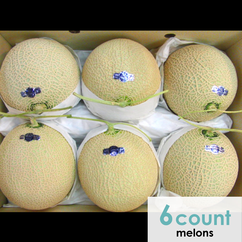 Shizuoka Prefecture Crown Melon Large approx. 8kg (6 count)