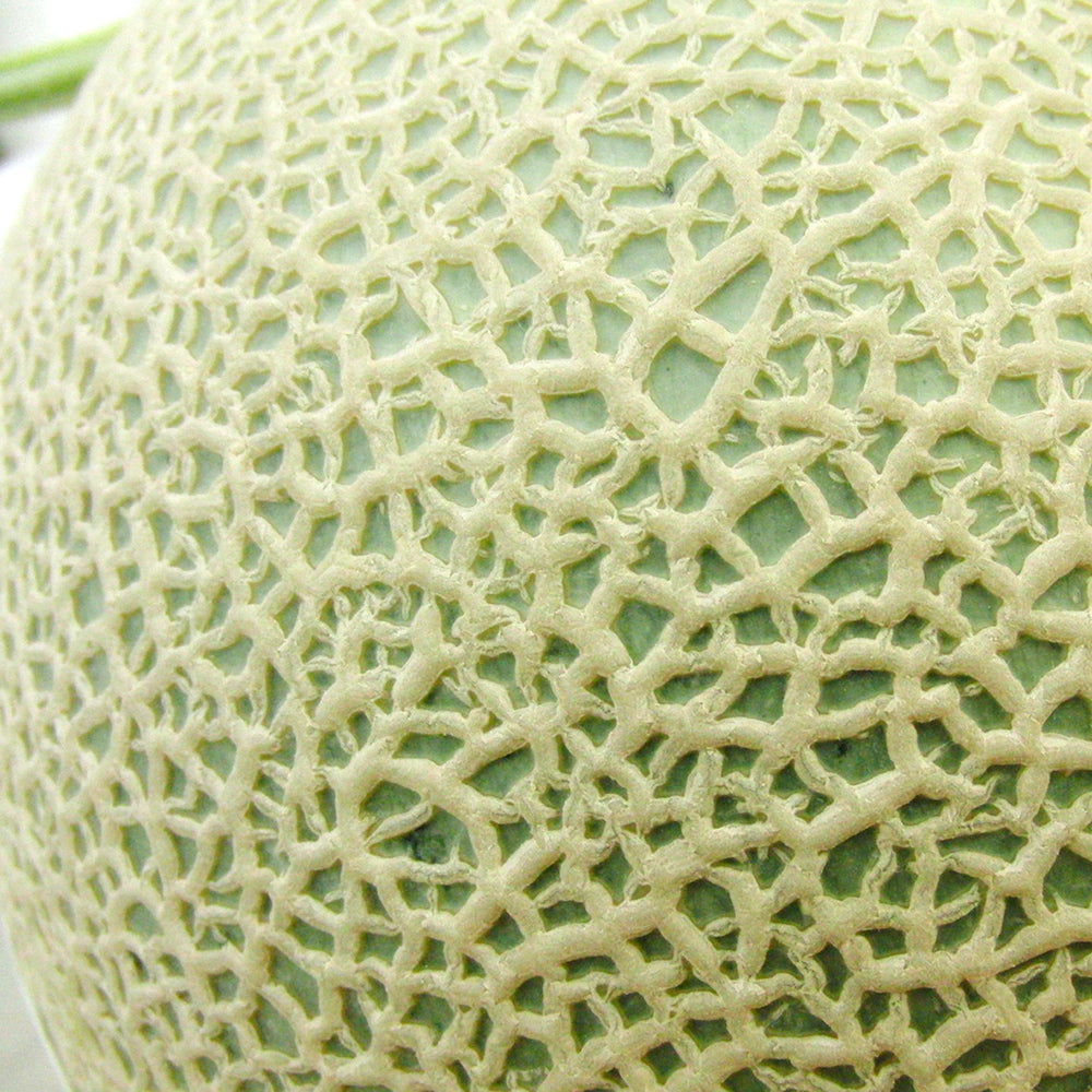 Shizuoka Prefecture Crown Melon Large approx. 8kg (6 count)